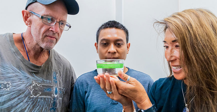 Professor Nishiguchi, right, shows one of her squid hatchlings in her lab.