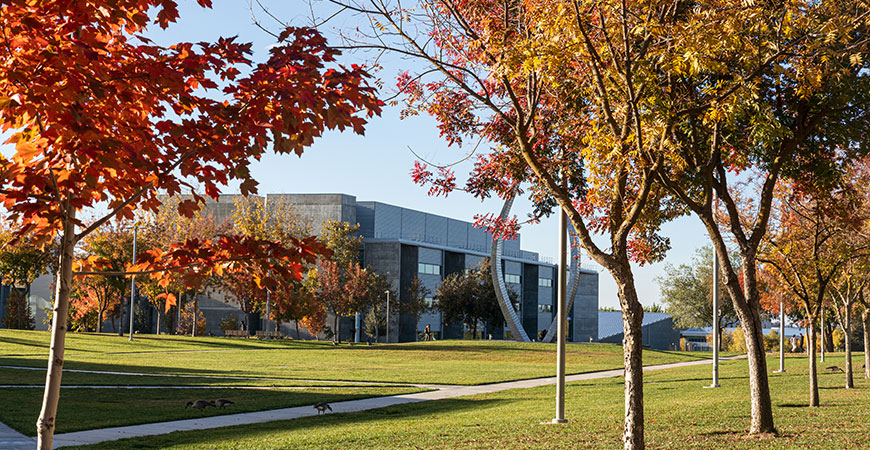 Fall trees on campus